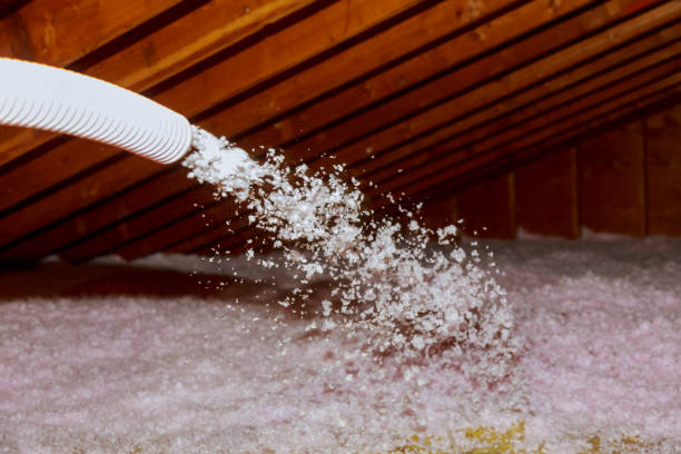 Best Insulation Materials and Products in South Elgin, IL