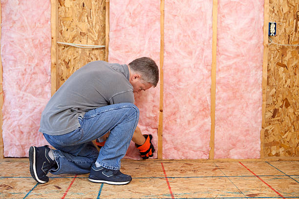 Best Insulation for Specific Applications in South Elgin, IL