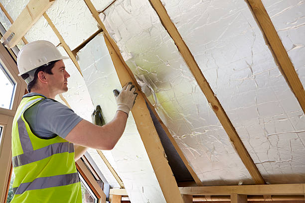 Best Insulation Maintenance and Repair in South Elgin, IL